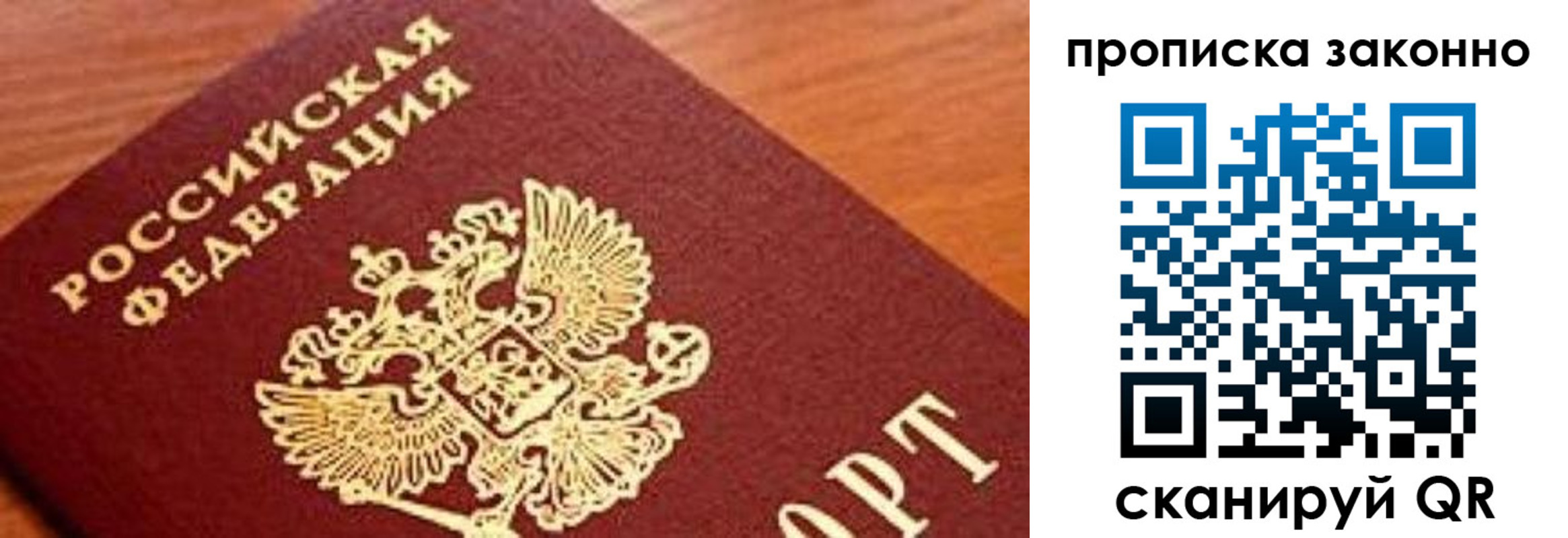 прописка законно в Купино